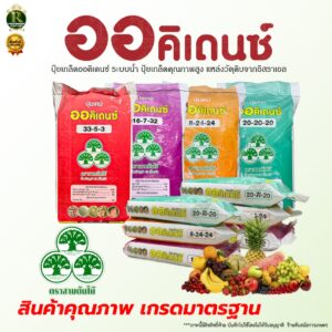 ออคิเดนซ์(ตราสามต้นไม้) ปุ๋ยเกล็ดละลายน้ำ มีให้เลือก4สูตร บรรจุ25กก. ฉีดพ่นพืชโดยตรง ทั้งในพืชผัก