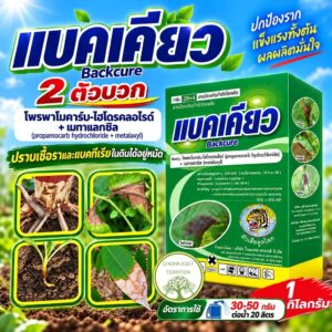 แบคเคียว ขนาด 1 กิโลกรัม 🌿สารป้องกันกำจัดโรคพืช ใบไหม้ รากเน่า โครเน่า ไฟท็อป