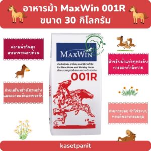 MaxWin 001R ม้าแข่ง 30 kg.