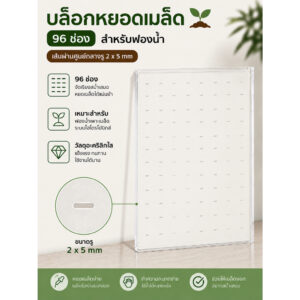 บล็อกเพาะเมล็ด ขึ้นฉ่าย 96 ช่อง