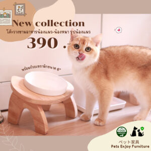 New. โต๊ะวางชามอาหารน้องแมวน้องหมา รุ่น หัวแมว ขนาด1 หลุม