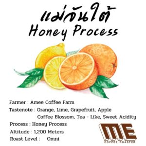 เมล็ดกาแฟ แม่จันใต้ Honey Process คั่ว Omni หอมโทนส้ม🍊 มะนาว🍋 สดชื่น