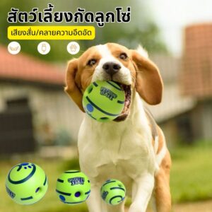 CODของเล่นสัตว์เลี้ยง ของเล่นสุนัขขัดฟัน ลูกบอลสุนัขมีเสียง Giggle Glow Ball ลูกบอล สุนัข ของเล่นสุนัขมีเสียง