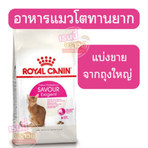 ⚡️ส่งด่วนมาก⚡️[[แมวทานยาก+เม็ดหลากหลาย]](แบ่งขาย) Royal Canin Savour Exigent อาหารแมวโตกินยาก ชนิดเม็ด