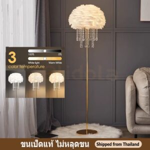 โคมไฟตั้งพื้นLED🧡โคมไฟการ ไฟแต่งห้อง ขนเป็ดแท้ ปรายจิ๋ววัสดุแก้ว ห้องนั่ง เล่นนอร์ดิก แสง3สีเปลี่ยนได้ โคมไฟตั้งพื้นขนนก