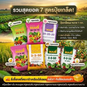 ปุ๋ยเกล็ดแนนซี่ (รวม 7 สูตร) ขนาด1กิโลกรัม ปุ๋ยทางใบ ละลายไว ปุ๋ยเกล็ดคุณภาพ เร่งต้น เร่งดอก เร่งผล กดเลือกสูตรได้เลย