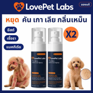 จับคู่ สเปร์ยบรรเทาอาการคัน แก้ปัญหาผิวหนัง กลิ่นหอม สูตรนาโนเข้มข้น ของแท้ 100 มล.