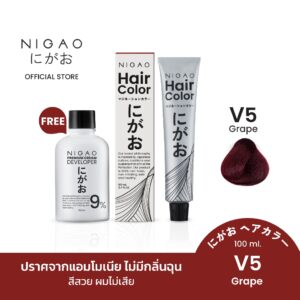 [ฟรี Developer] NIGAO Hair Color Fashion V5 Grape | นิกาโอะ ครีมเปลี่ยนสีผม สีย้อมผม สีม่วง องุ่น 100 mL